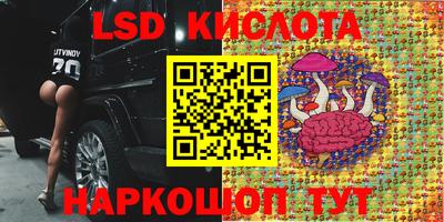 твердый Новодвинск