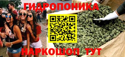 твердый Новодвинск