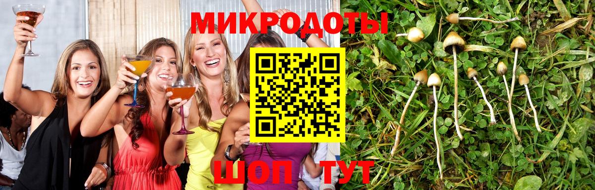 Галлюциногенные грибы мицелий  Вход с VPN  Псилоцибиновые грибы прущие грибы  Северобайкальск 